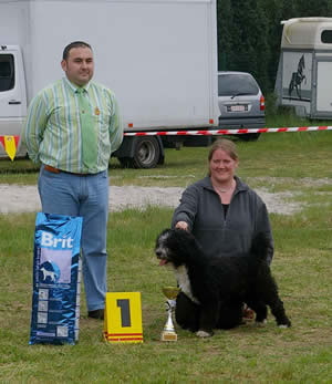 Intermediate Males PDAECB 08 My Big Dream Flash Perro