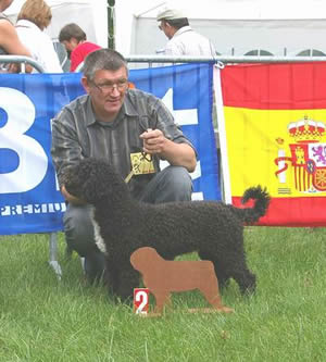 Whoopi second in the junior class at Clubshow in Belgium.